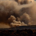 ¿Se pueden reclamar los daños ocasionados por los incendios forestales?
